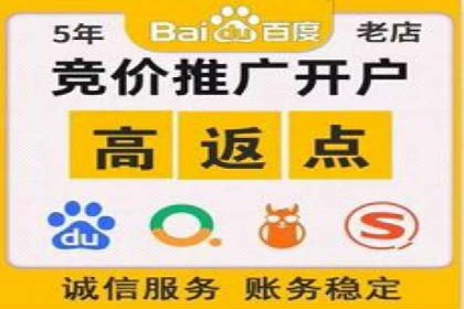 百度推广公司案例分析：精准定位，助力企业精准营销